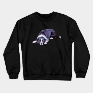 Border Collie Lying Down Playing Fetch Crewneck Sweatshirt